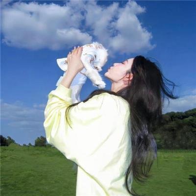 玫瑰计划