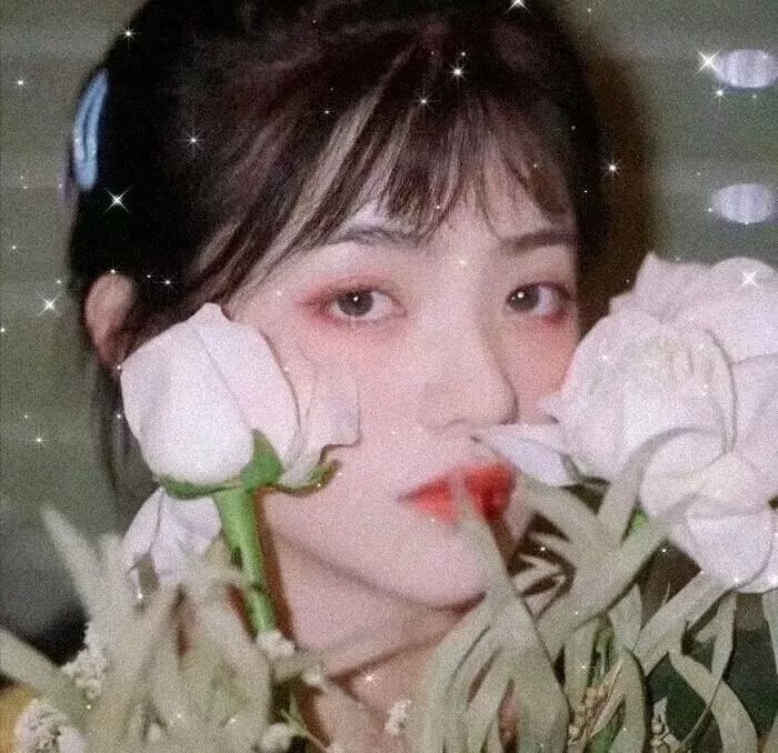 盛开的樱花林下